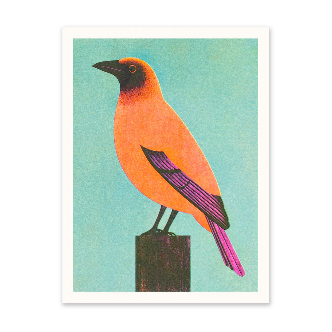 Mid Century Bird 1 Art Print