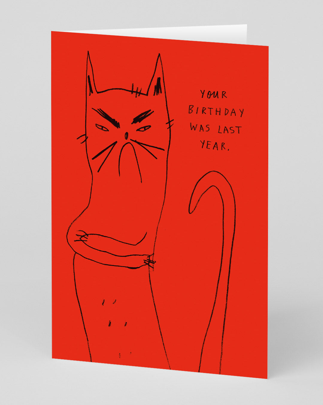 Funny Birthday Card Bitter Kitty Birthday Card