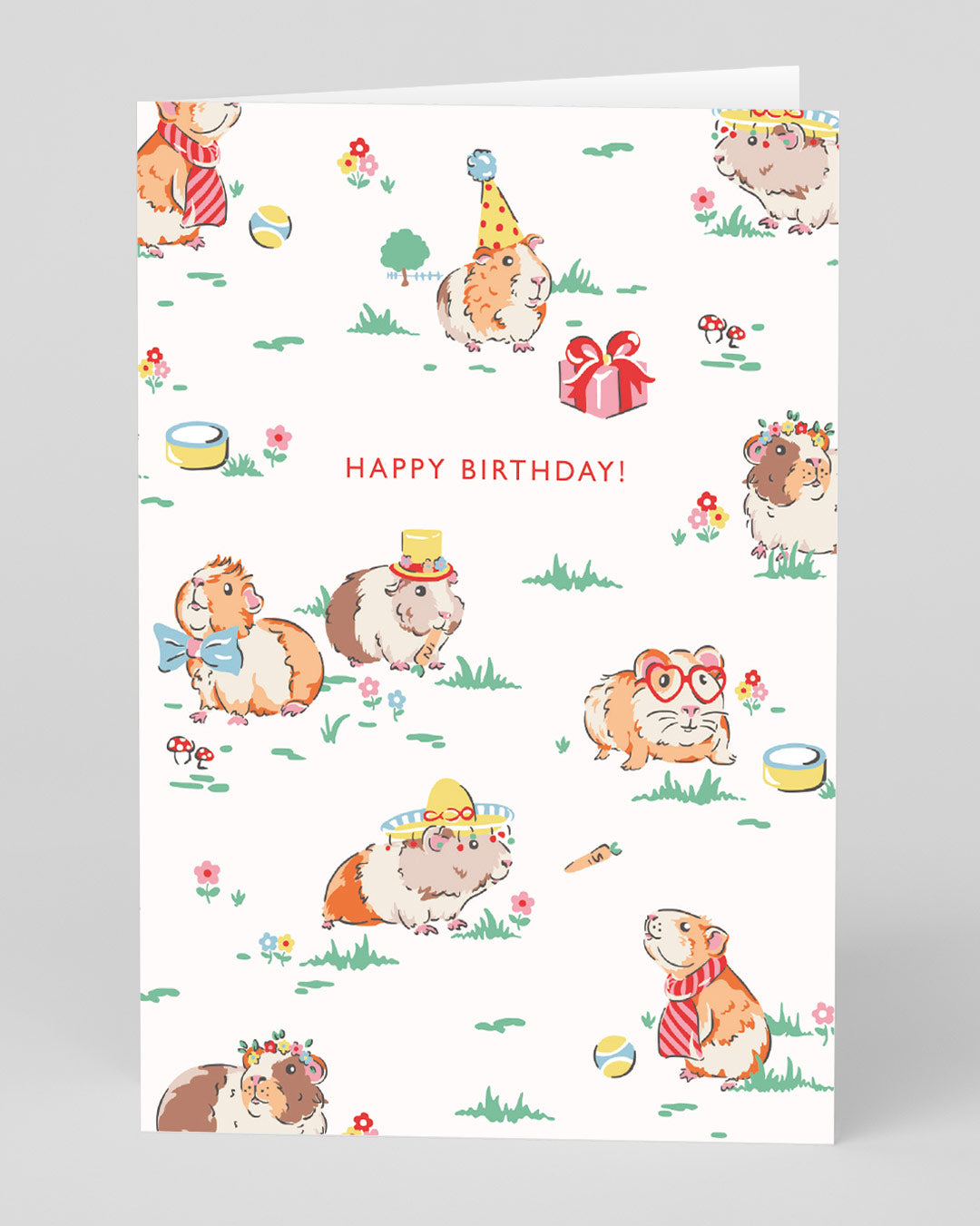Birthday Card Guinea Pig Happy Birthday Card