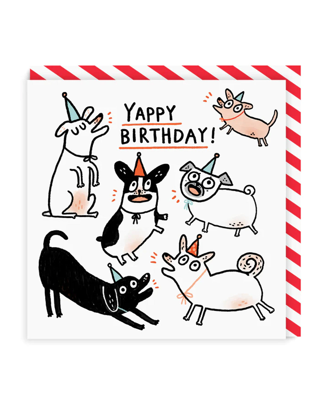 Funny Birthday Card Yappy Birthday Card