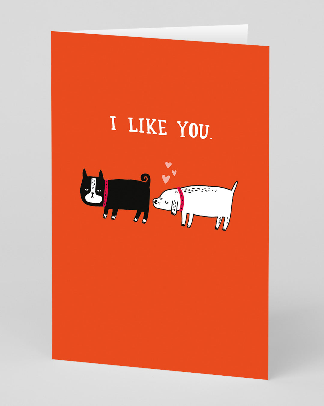 Valentine’s Day | Cute Valentines Card For Dog Lovers | Personalised I Like You Dogs Greeting Card | Ohh Deer Unique Valentine’s Card for Him or Her | Artwork by Gemma Correll | Made In The UK, Eco-Friendly Materials, Plastic Free Packaging