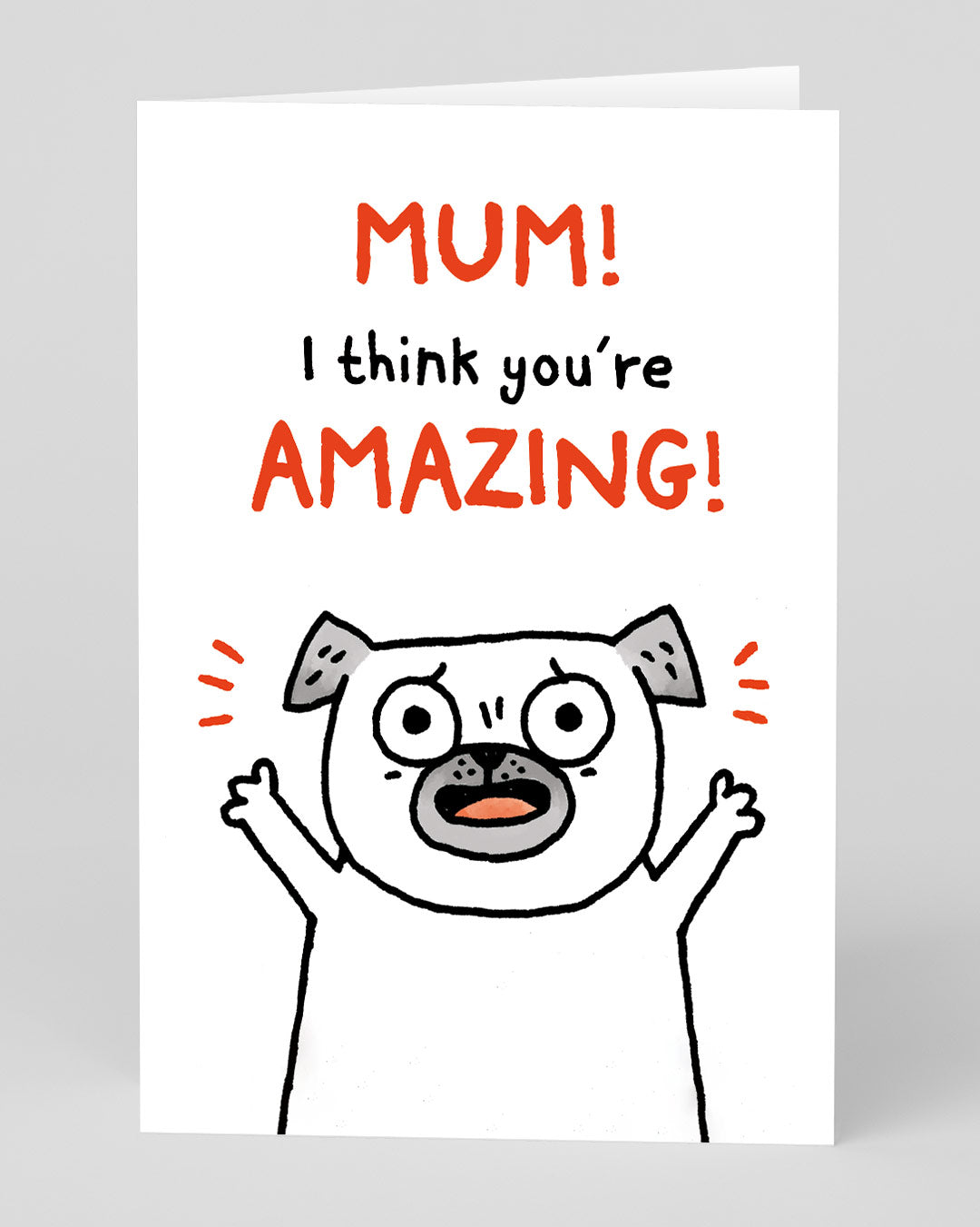 Funny Birthday Card for Mum I Think You’re Amazing! Greeting Card