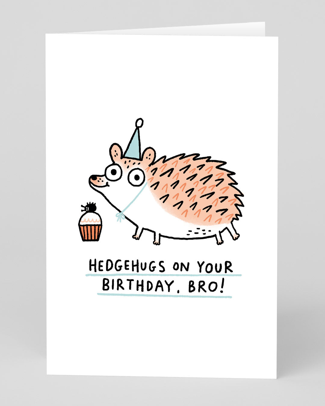Funny Birthday Card for Brother Hedgehugs Brother Birthday Card