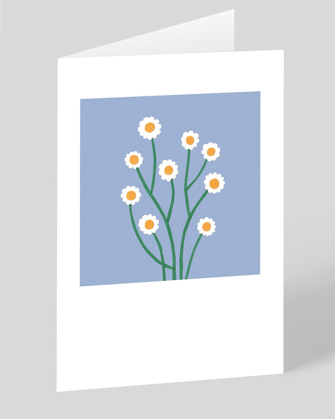 Birthday Card Daisies Greeting Card