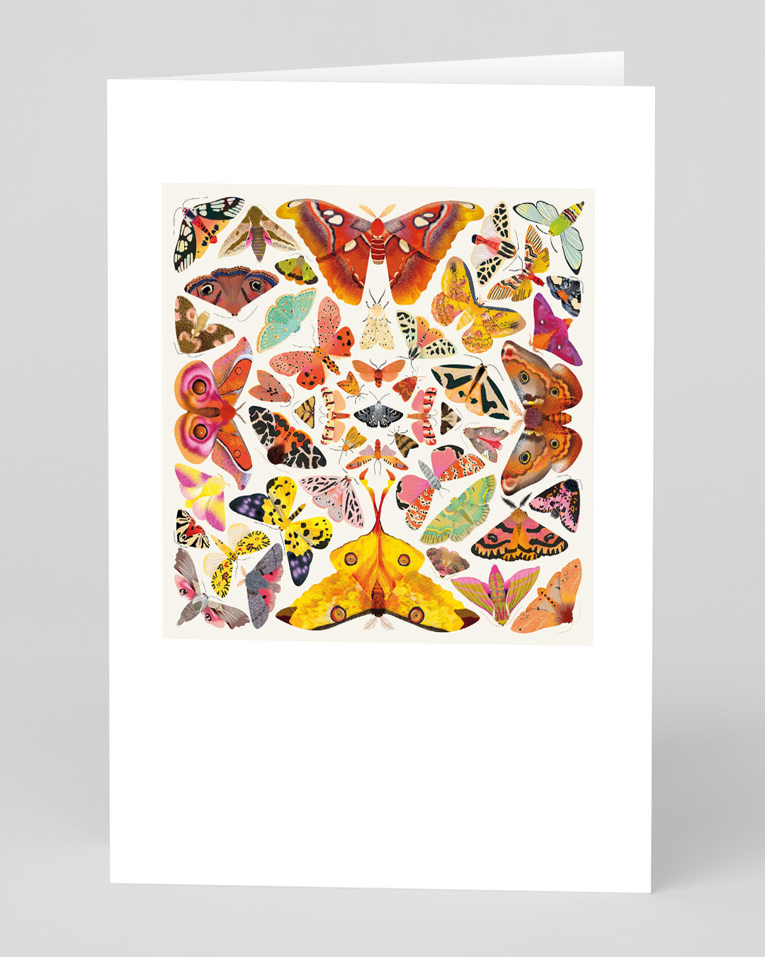 Birthday Card Butterfly Kaleidoscope Greeting Card