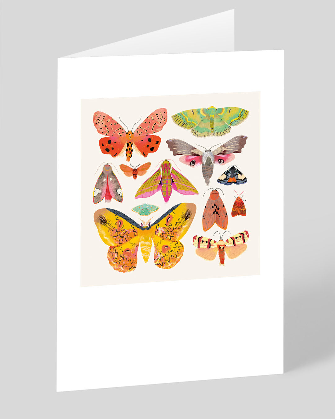 Birthday Card Moths and Butterflies Greeting Card
