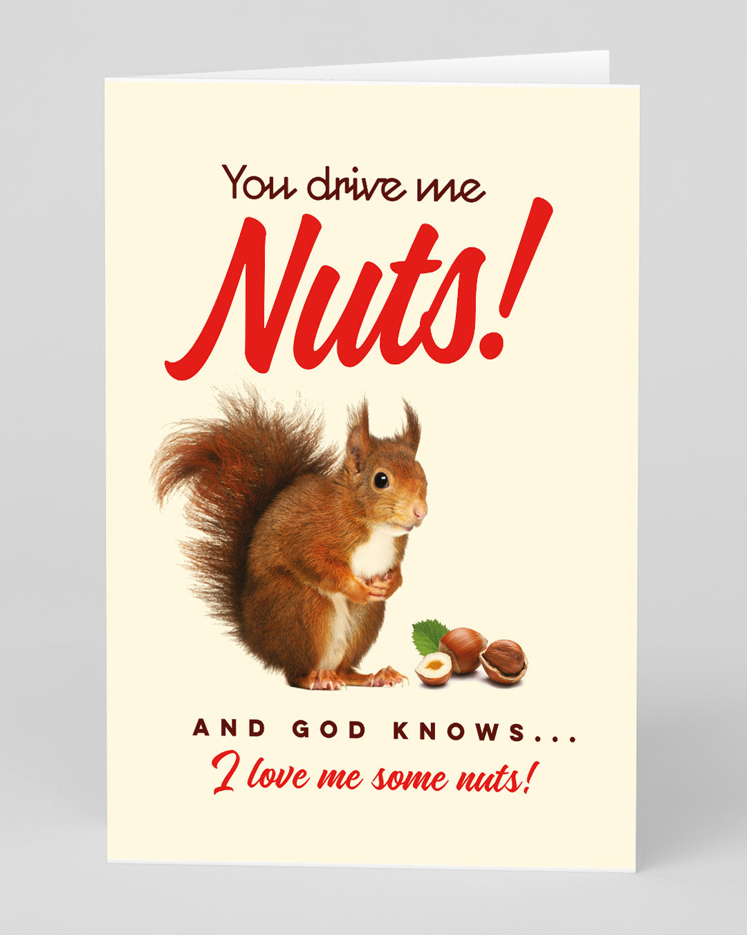 Funny Birthday Card You Drive Me Nuts! Greeting Card