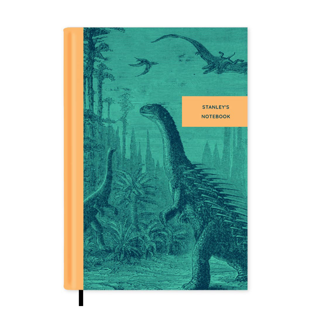 Vintage Illustrations Dinosaurs Personalised Notebook A5, Hard Cover / Plain