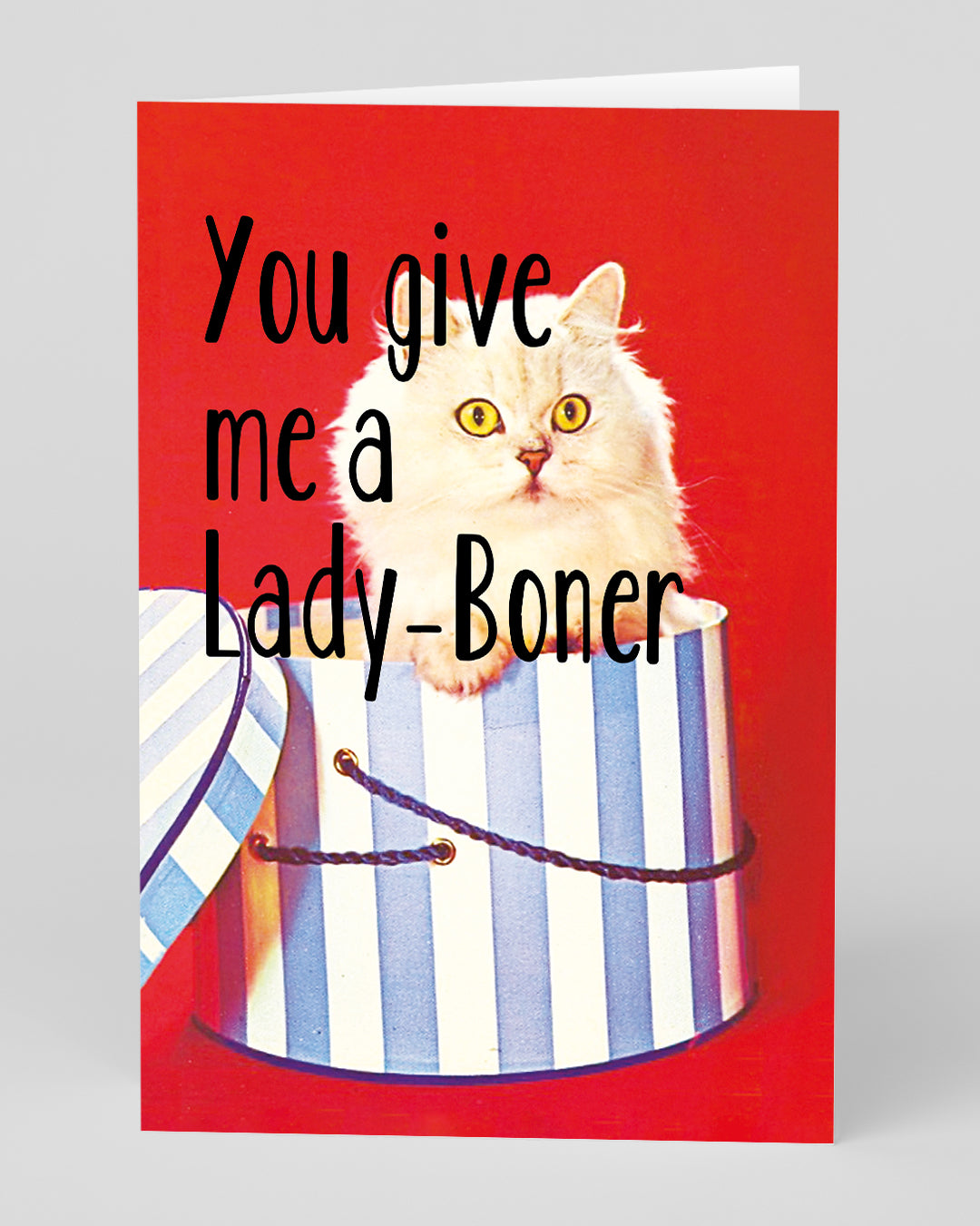 Valentine’s Day | Rude Valentines Card For Cat Lovers | Personalised You Give Me a Lady Boner Greeting Card | Ohh Deer Unique Valentine’s Card for Him or Her | Made In The UK, Eco-Friendly Materials, Plastic Free Packaging
