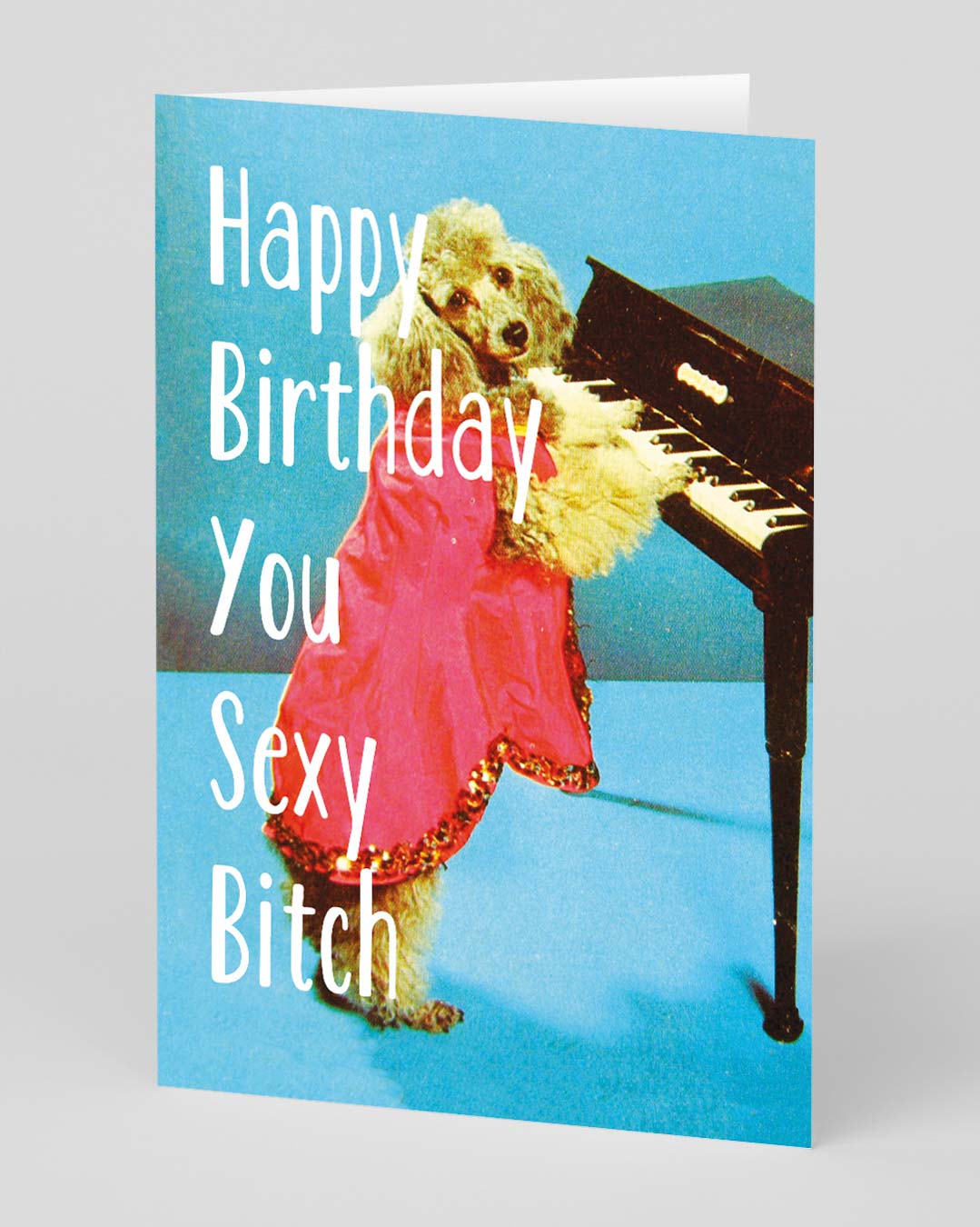 Rude Birthday Card Sexy Bitch Birthday Card