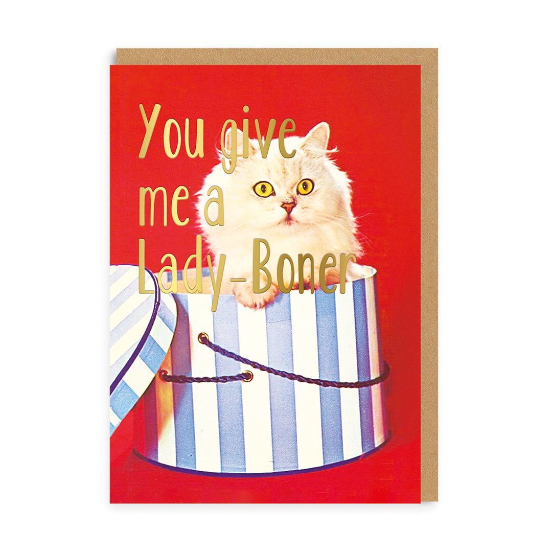 Valentine’s Day | Rude Valentines Card For Cat Lovers | You Give Me a Lady Boner Greeting Card | Ohh Deer Unique Valentine’s Card for Him or Her | Artwork by Smitten Kitten | Made In The UK, Eco-Friendly Materials, Plastic Free Packaging