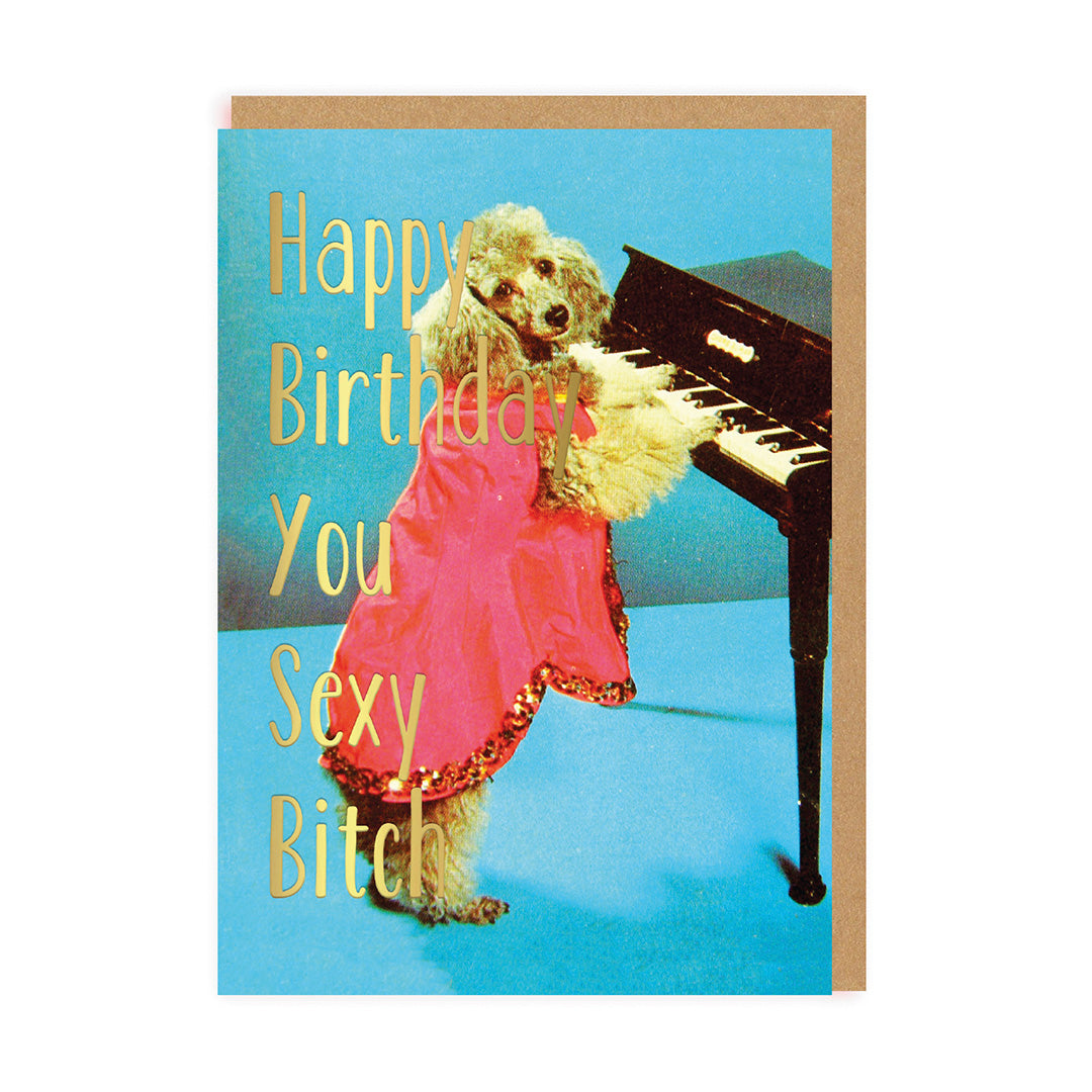 Rude Birthday Card Happy Birthday You Sexy Bitch Card