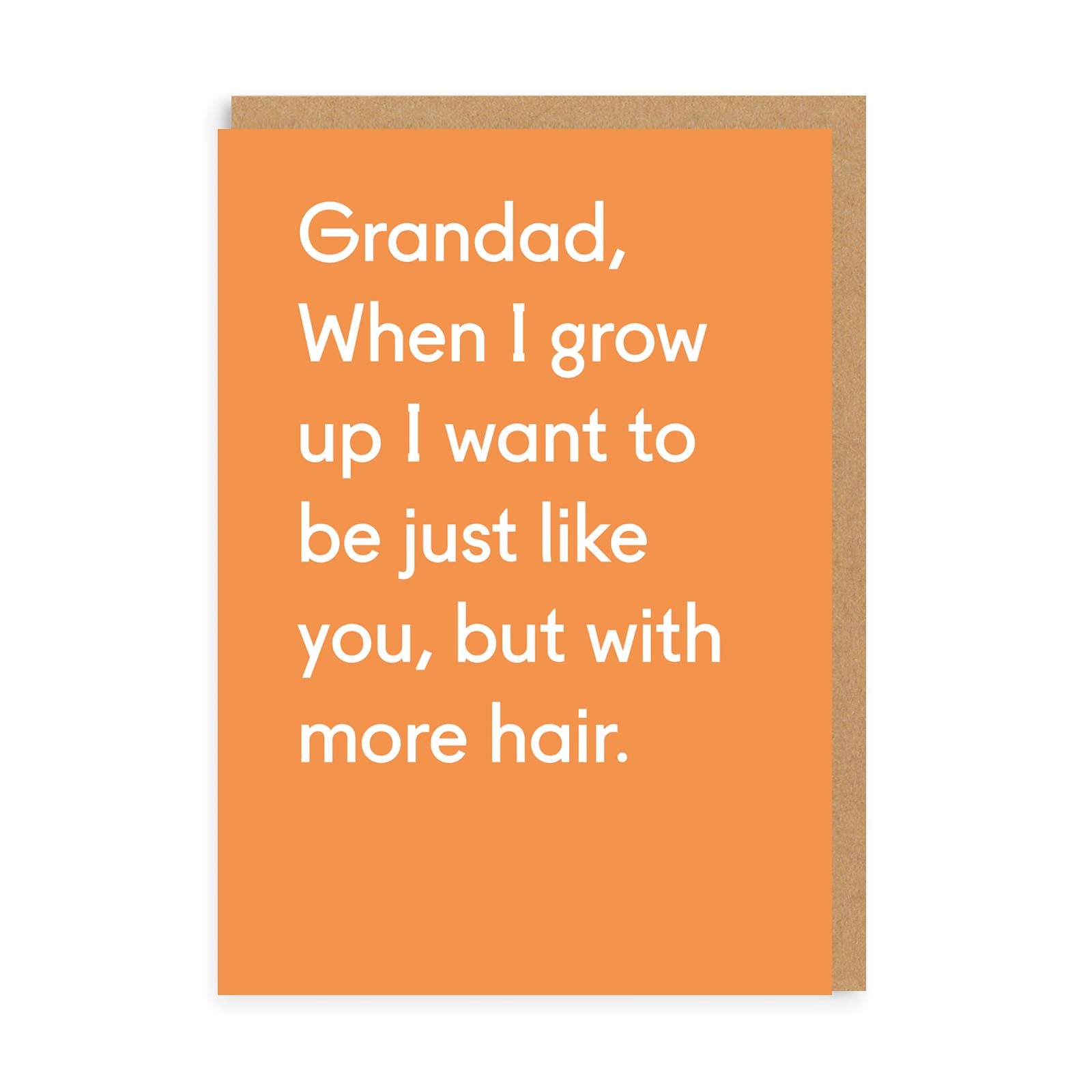 Funny Birthday Card for Grandad, Be Like You But More Hair Birthday Card