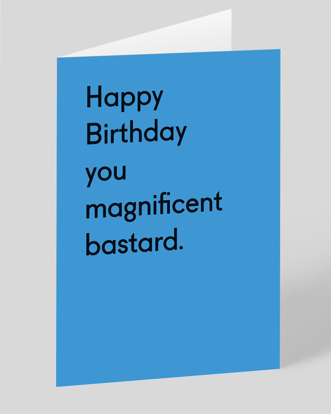 Rude Birthday Card You Magnificent Bastard Birthday Card