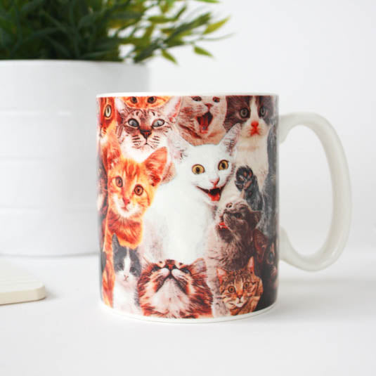 Crazy Cat Lady Mug