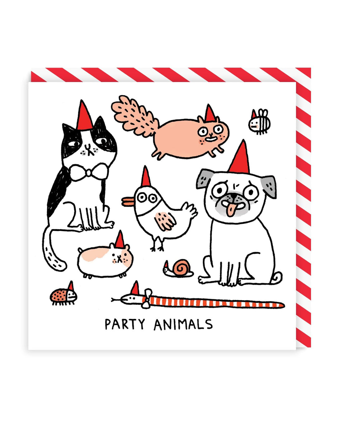 Funny Birthday Card Party Animals Square Greeting Card