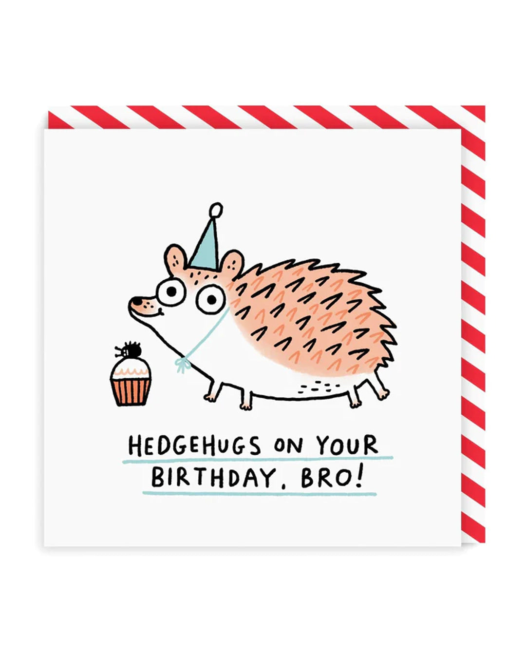 Funny Birthday Card for Brother Hedgehugs Birthday Square Greeting Card