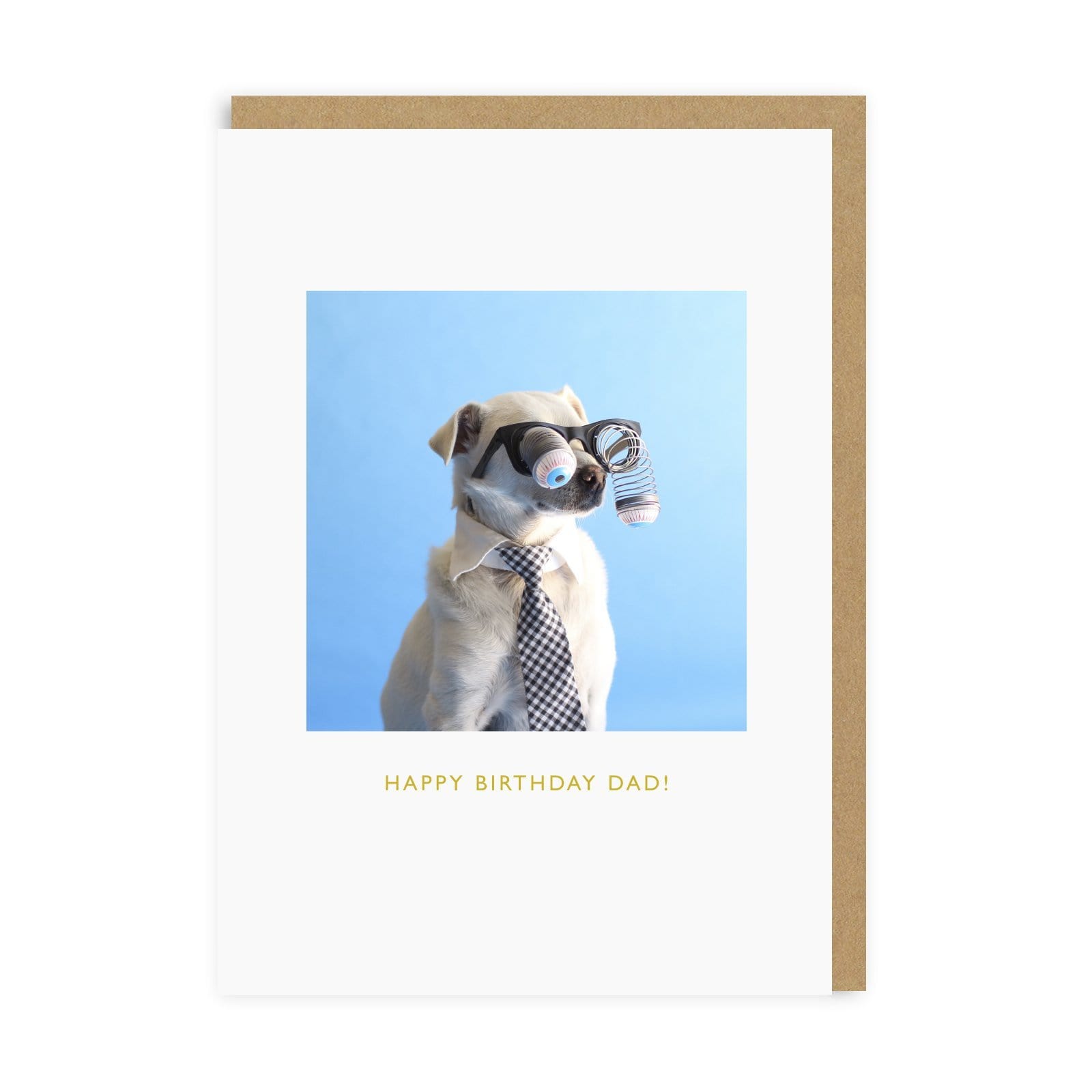 Father’s Day Funny Dad Googly Eyed Dog Greeting Card