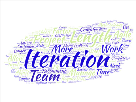 what is the function or purpose of management in scrum