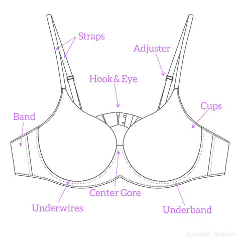 Diagram explaining parts of bra