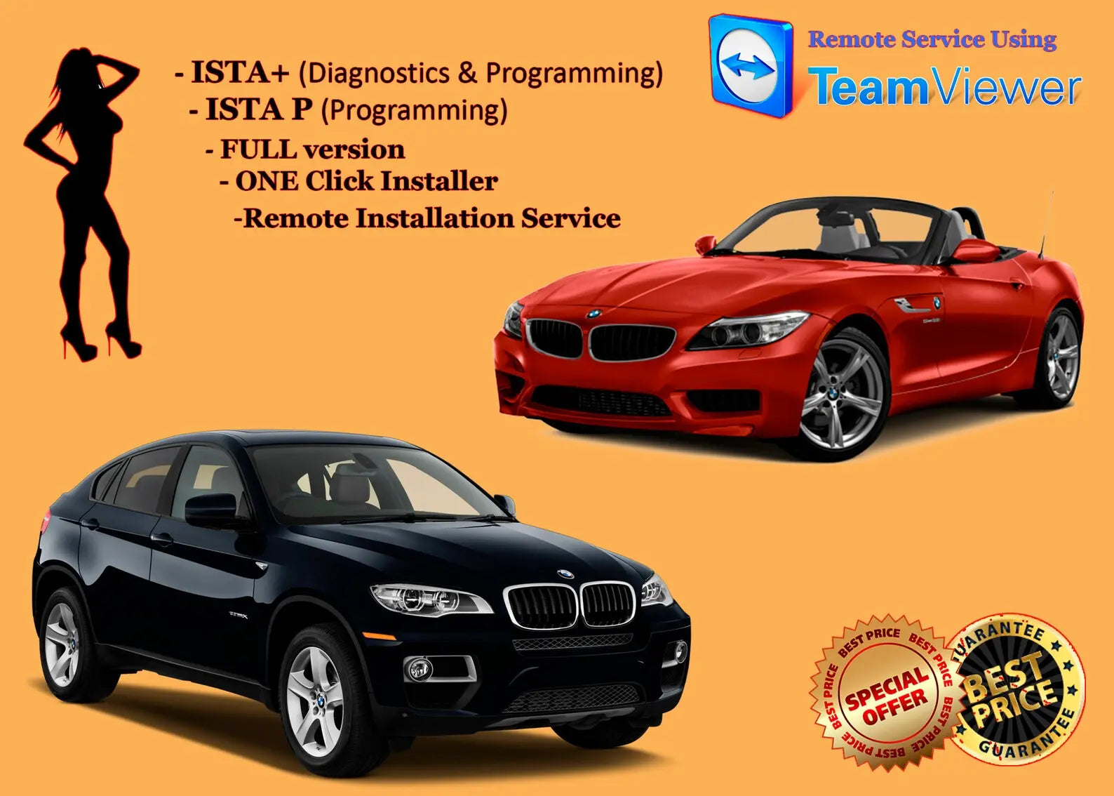 ✓ 2023 REMOTE INSTALLATION SERVICE FOR BMW ISTA+ D RHEINGOLD E-Sys INP –  QUANTUM OBD