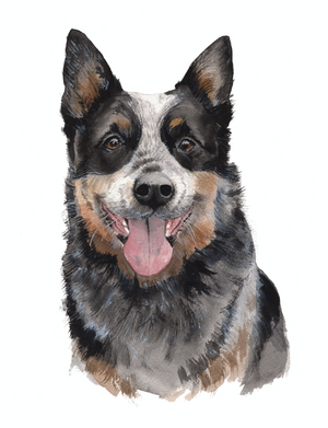 Pet Projects : Paint a Dog Portrait in Watercolor