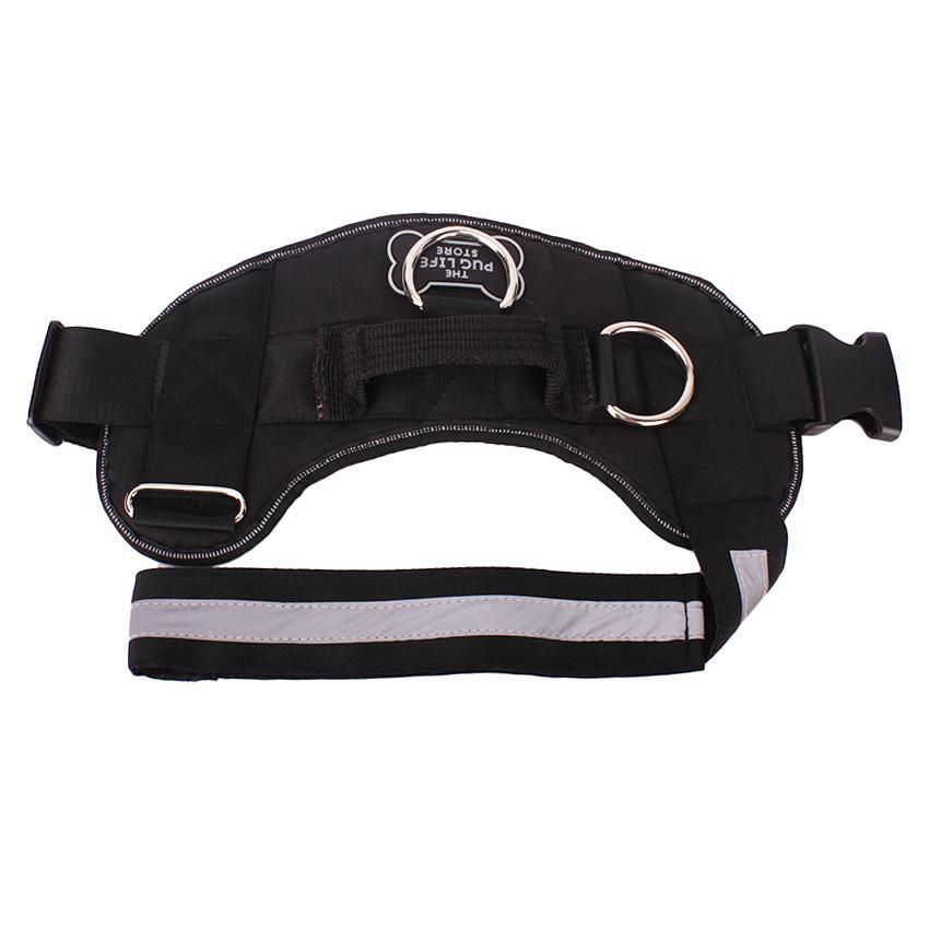 pug life store harness