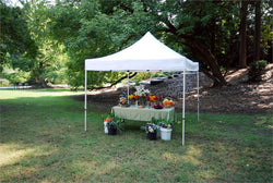 King Canopy Goliath Instant Canopy 10 x 10 - Great for the Beach, Weddings, Events and Parties