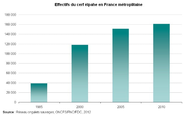 population de cerf élaphe Nemrod gibier terrine