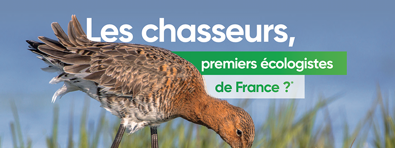 nemrod-chasseur-ecologiste-france