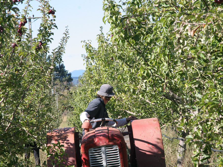 Mowing the Cider Orchard