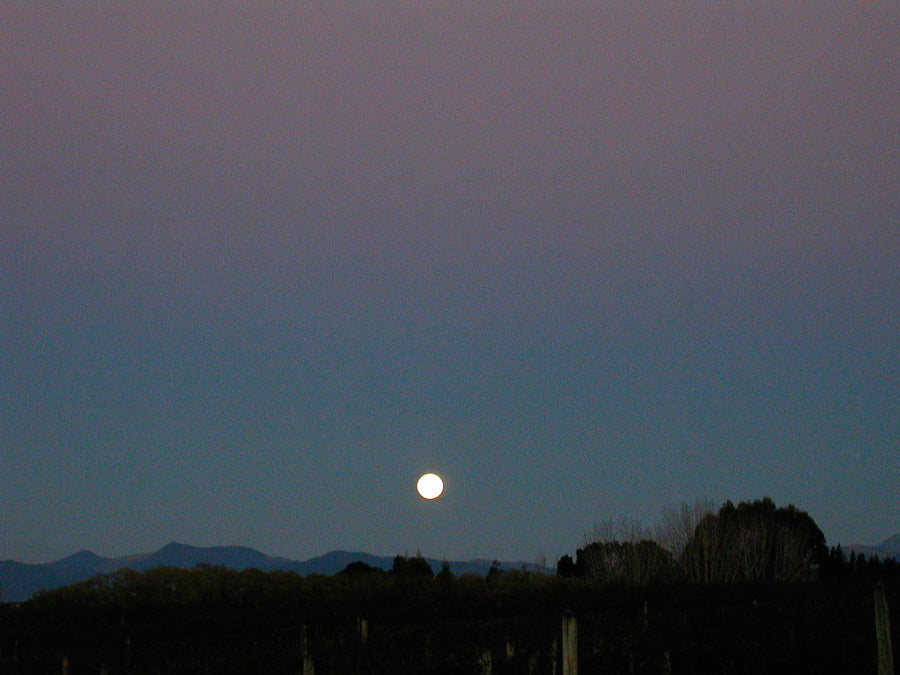 Full Moon over the Cider Orchard