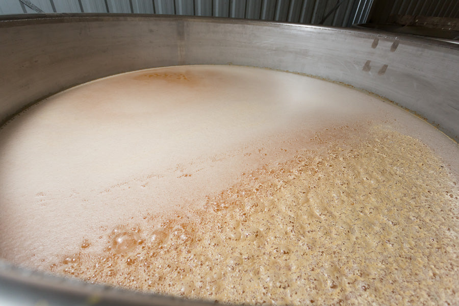 cider fermenting