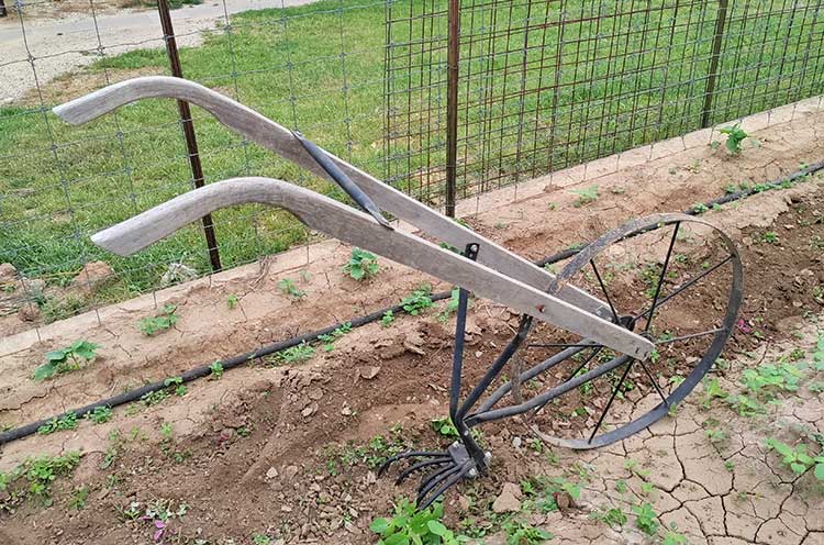 old time cultivator in a garden