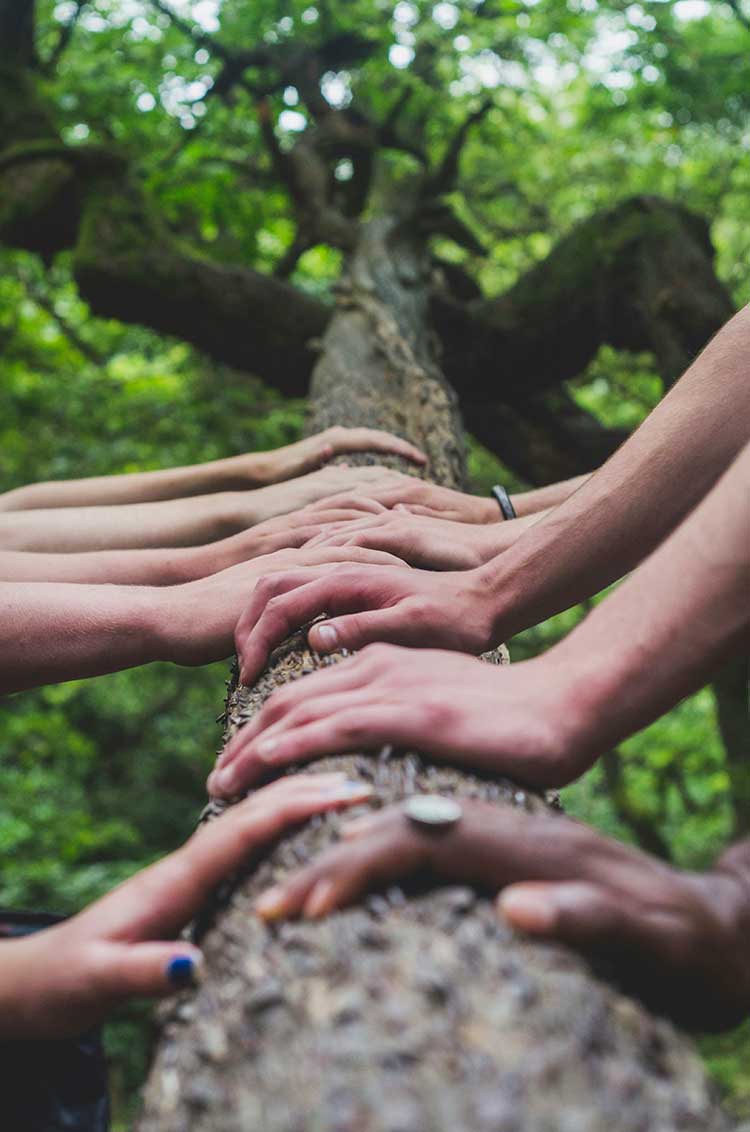 Hands on a log