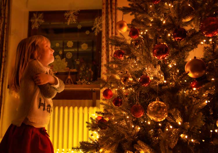 Child looking at Christmas Tree - Fredericksburg Farms