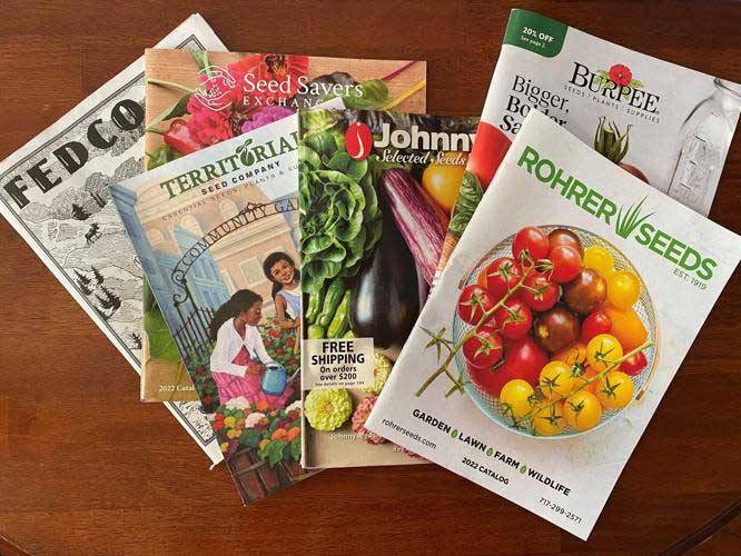 Seed Catalogs