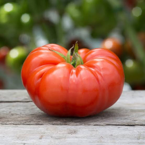 Beefsteak Tomatoes