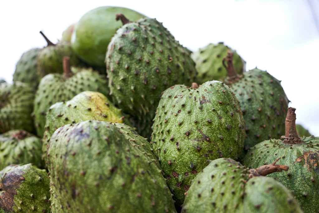 Soursop