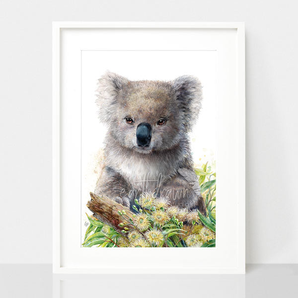 Koala (Square) Photo Art Print