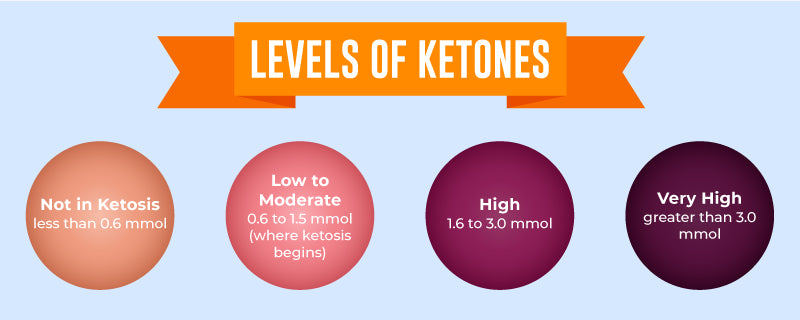 Ketone Levels: How to Test and What It Means