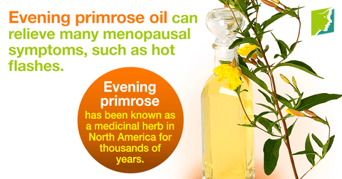 primrose oil for menopause