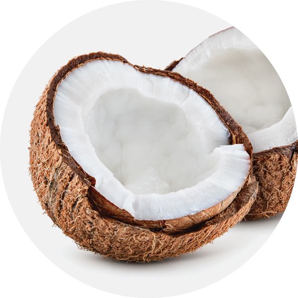 Benefits Of Coconut Oil On Skin & Skin Care Products | Pangea