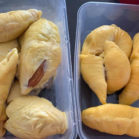 Refrozen durian on left