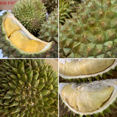 Tropical Primary Products' fresh HEW1 and other variety durian