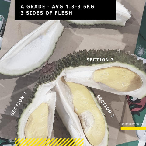 A Grade Musang King