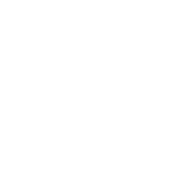 Paris Beer Co.