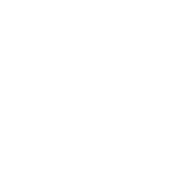 Elora Brewing Co.