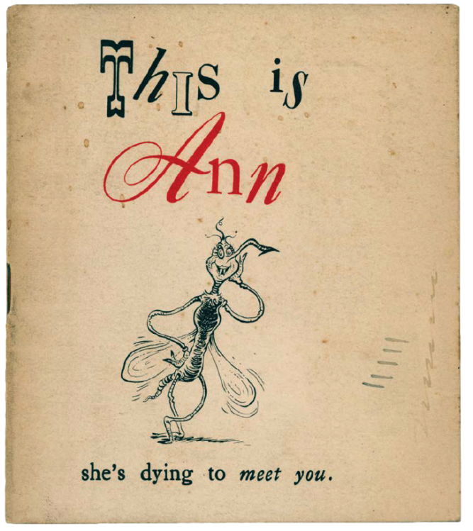 This is Ann book cover