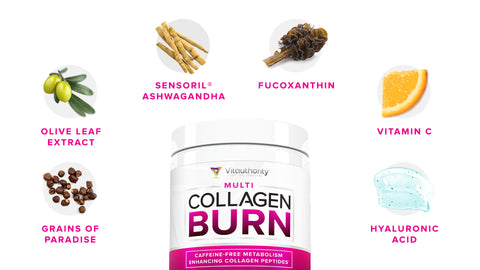 Vitauthority Multi Collagen Burn ingredients including grains of paradise, ashwagandha, fucoxanthin, olive leaf extract, vitamin c, and hyaluronic acid